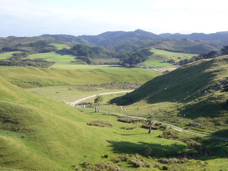 Travel - New Zealand - North West and Farewell Spit